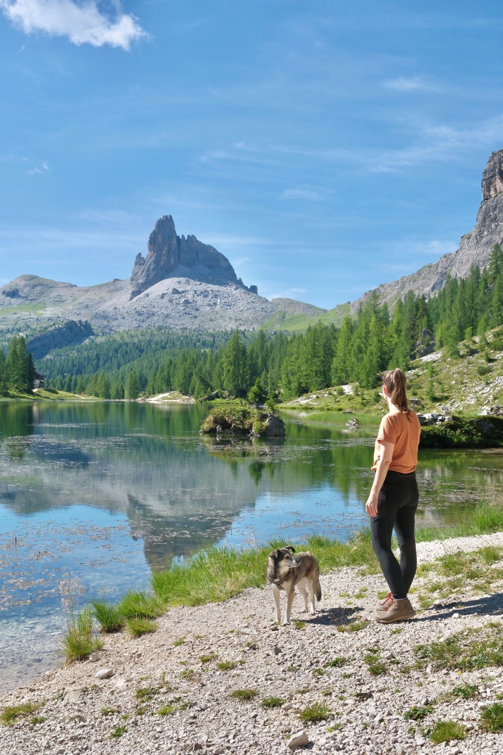 7 Traumhafte Reiseziele Mit Hund Im Herbst Urlaub Mit Hund Im 7 Traumhafte Reiseziele Mit Hund Im Herbst Urlaub Mit Hund Im